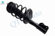 Set of 4 Front & Rear Quick Load Complete Strut with Coil Spring For 2002, 2003 Lexus Es300