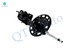 Front Right Suspension Strut Assembly For 2016-2023 Nissan Maxima