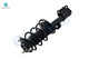 Set Front Quick Complete Strut-Coil Spring-Rear Complete Shock For 2015-2022 Ford Mustang V8