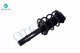 Pair of 2 Front L-R Quick Complete Strut-Coil Spring For 2017-2021 Honda Civic L4 1.5L