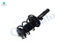 Set Front Quick Complete Strut-Coil Spring-Rear Shock For 2016-2020 Honda Civic