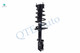 Pair Rear Quick Complete Strut-Coil Spring For 2004-2006 Lexus Es330 Pair Rear Quick Complete Strut-Coil Spring For 2004-2006 Lexus Es330