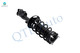 Set of 4 Front Quick Complete Strut-Coil Spring Assembly-Rear Shock Absorber For 2011-2019 Ford Fiesta