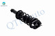 Rear Quick Complete Strut-Coil Spring Assembly For 2019 Subaru Legacy