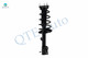 Pair of 2 Rear Left-Right Quick Complete Strut-Coil Spring For 2001-2003 Toyota Highlander AWD