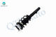 Set Front Quick Complete Strut-Coil Spring-Rear Shock Absorber For 2006 BMW 325I