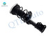 Front Left Quick Complete Strut-Coil Spring For 2014-2018 Mercedes-Benz CLA250 AWD