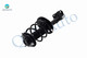 Pair of 2 Front Left-Right Quick Complete Strut-Coil Spring For 2018-2023 Toyota Camry