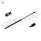 Rear Liftgate Lift Support For 1979-1983 American Motors Spirit