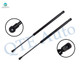 Pair of 2 Rear Liftgate Lift Support For 1999-2004 Audi A6 Quattro