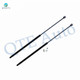 Pair of 2 Rear Liftgate Lift Support For 2000 2001 Hyundai Tiburon