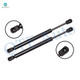 Pair of 2 Rear Trunk Lid Lift Support For 2012-2017 BMW 650I Xdrive Convertible