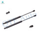 Pair of 2 Rear Liftgate Lift Support For 2010-2014 Volkswagen Golf