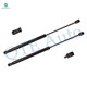 Pair of 2 Rear Tailgate Lift Support For 2007-2010 Volkswagen Passat