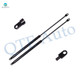 Pair of 2 Rear Trunk Lid Lift Support For 1987-1989 BMW 325I Convertible