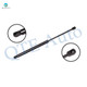 Rear Tailgate Lift Support For 1993-1997 Mercury Tracer wagon 4 Door