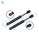 Pair of 2 Rear Trunk Lid Lift Support For 1995-2002 Volkswagen Cabrio Convertible 2 Door