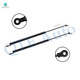 Pair of 2 Rear Liftgate Lift Support For 1980 Honda Civic