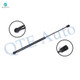 Rear Liftgate Lift Support For 1982 1983 Mercury LN7