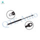 Rear Trunk Lid Lift Support For 1994 1995 1997-2003 BMW 540I w/o spoiler