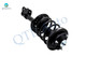 Set of 4 Front Quick Complete Strut-Coil Spring-Rear Shock For 2003-2005 Honda Pilot AWD