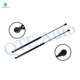 Pair 2 Rear Liftgate Lift Support For 1981-1987 Mercury Lynx w/o Rear Defroster