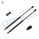 Pair of 2 Rear Trunk Lid Lift Support For 1989-1991 Chrysler TC Maserati