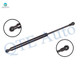 Rear Trunk Lid Lift Support For 2009 BMW 328I Xdrive