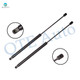 Pair of 2 Rear Liftgate Lift Support For 1999-2002 Nissan Quest w/ flip window