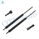 Pair of 2 Rear Hatch Lift Support For 1976-1981 Honda Accord 2 Door