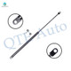 Rear Liftgate Lift Support For 1984 1985 Honda Accord