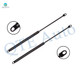 Pair of 2 Rear Tailgate Lift Support For 1975-1984 Volkswagen Rabbit