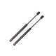 Pair of 2 Rear Trunk Lid Lift Support For 1998-2004 Dodge Intrepid