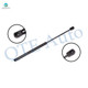 Rear Liftgate Lift Support For 1978-1991 1993-1995 Porsche 928