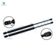 Pair of 2 Rear Liftgate Lift Support For 1986-1988 Ford EXP