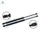 Pair of 2 Rear Liftgate Lift Support For 1986-1988 Ford EXP
