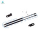 Pair of 2 Rear Liftgate Lift Support For 1979-1982 Nissan 210