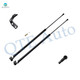 Pair of 2 Rear L-R Liftgate Lift Support For 1982-1984 Nissan Stanza Hatchback