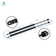 Pair of 2 Rear Liftgate Lift Support For 1980-1982 Nissan 310 Hatchback