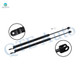 Pair of 2 Rear Liftgate Lift Support For 1980-1982 Nissan 310 Hatchback