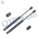 Pair of 2 Rear Liftgate Lift Support For 1983 1984 Toyota Camry
