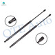 Pair of 2 Rear Liftgate Lift Support For 2007-2013 Acura MDX