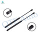 Pair of 2 Rear Trunk Lid Lift Support For 2001-2006 Audi Tt Quattro