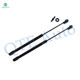 Pair of 2 Front Hood Lift Support For 2008-2019 Dodge Challenger