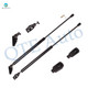 Pair of 2 Rear L-R Liftgate Lift Support For 2002 2003 Mazda Protege 5 Hatchback 4 Door