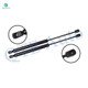 PM Auto PM Auto PM Auto Pair of 2 Rear Liftgate Lift Support For 1974-1976 Ford Mustang II