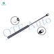 Rear Liftgate Lift Support For 1980-1982 Dodge Omni w/o Spoiler