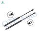 Pair of 2 Rear Liftgate Lift Support For 1978-1980 1982 Dodge Omni w/ Spoiler