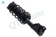 Set 4 Front Quick Complete Strut - Rear Shock For 2006 - 2011 Acura CSX