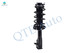 Set 4 Front Quick Complete Strut - Rear Shock For 2006 - 2011 Acura CSX